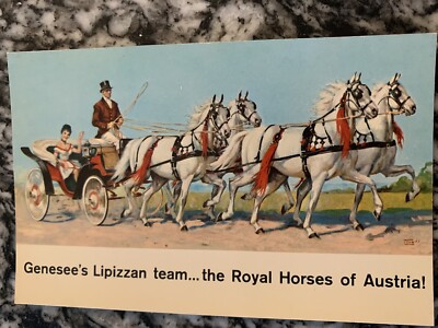 Postcard Genesee Beer Brewing Lipizzan Horse Rochester NY 60s Advertise Vintage