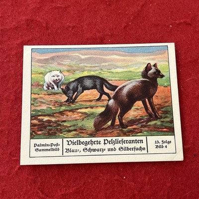 1930s Palmin  Highly Sought After Fur   BLUE BLACK SILVER FOX Trade Card #4   EX