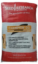 Champion GQ Perennial Ryegrass Seed - 50 Lbs.