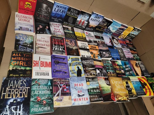 Lot of 10 Mystery Large Trade Paperback Books Suspense Thriller Crime Murder MIX