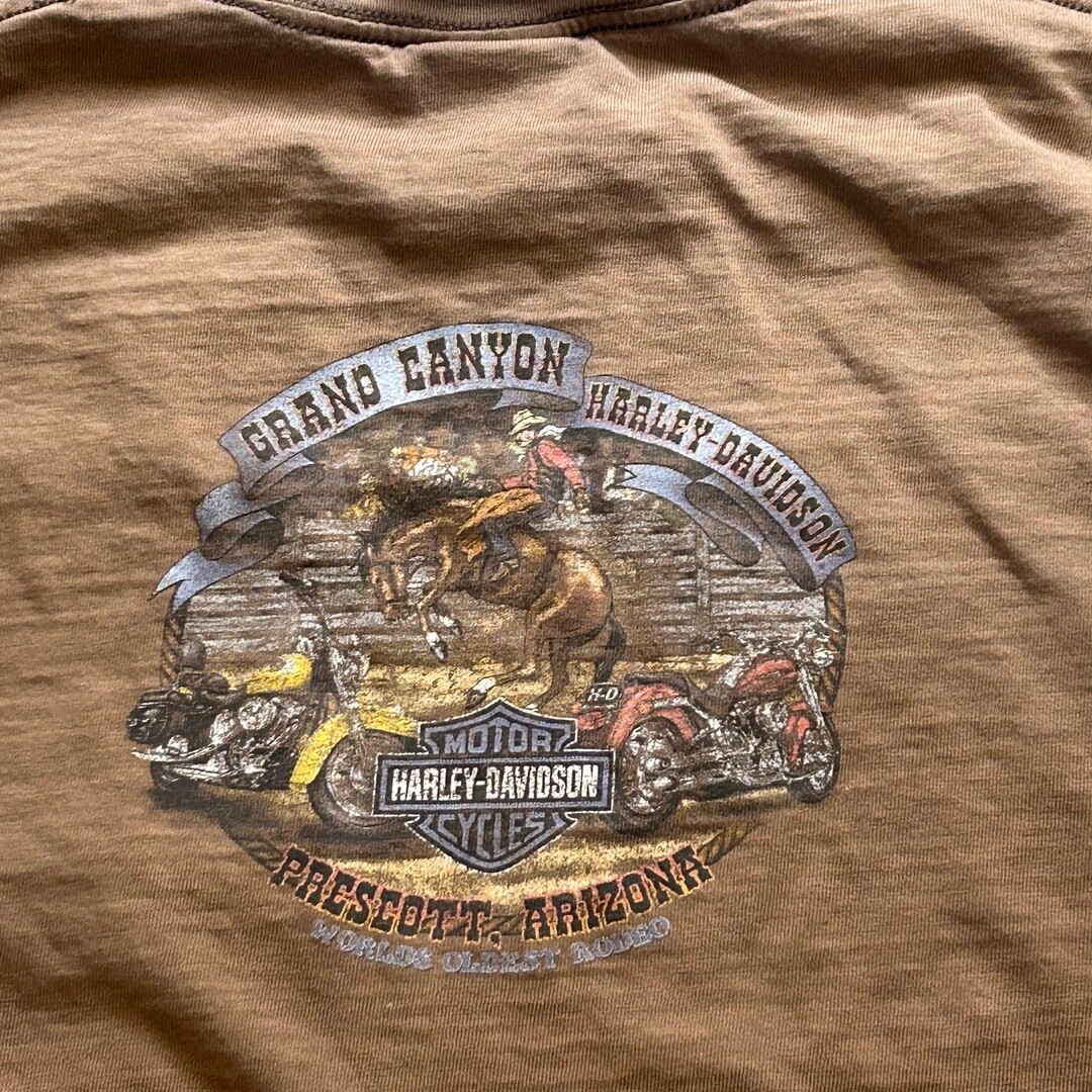 ALTRA T shirt vintage Harley Davidson Prescott Arizona distress viene fornita come da foto
