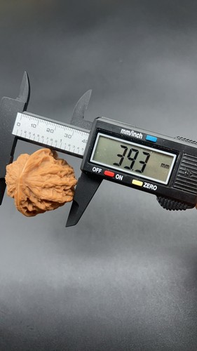 Pair of Match Chinese Health Walnut 39×39×41mm精配文玩核桃~野生果磐石 - Picture 8 of 9