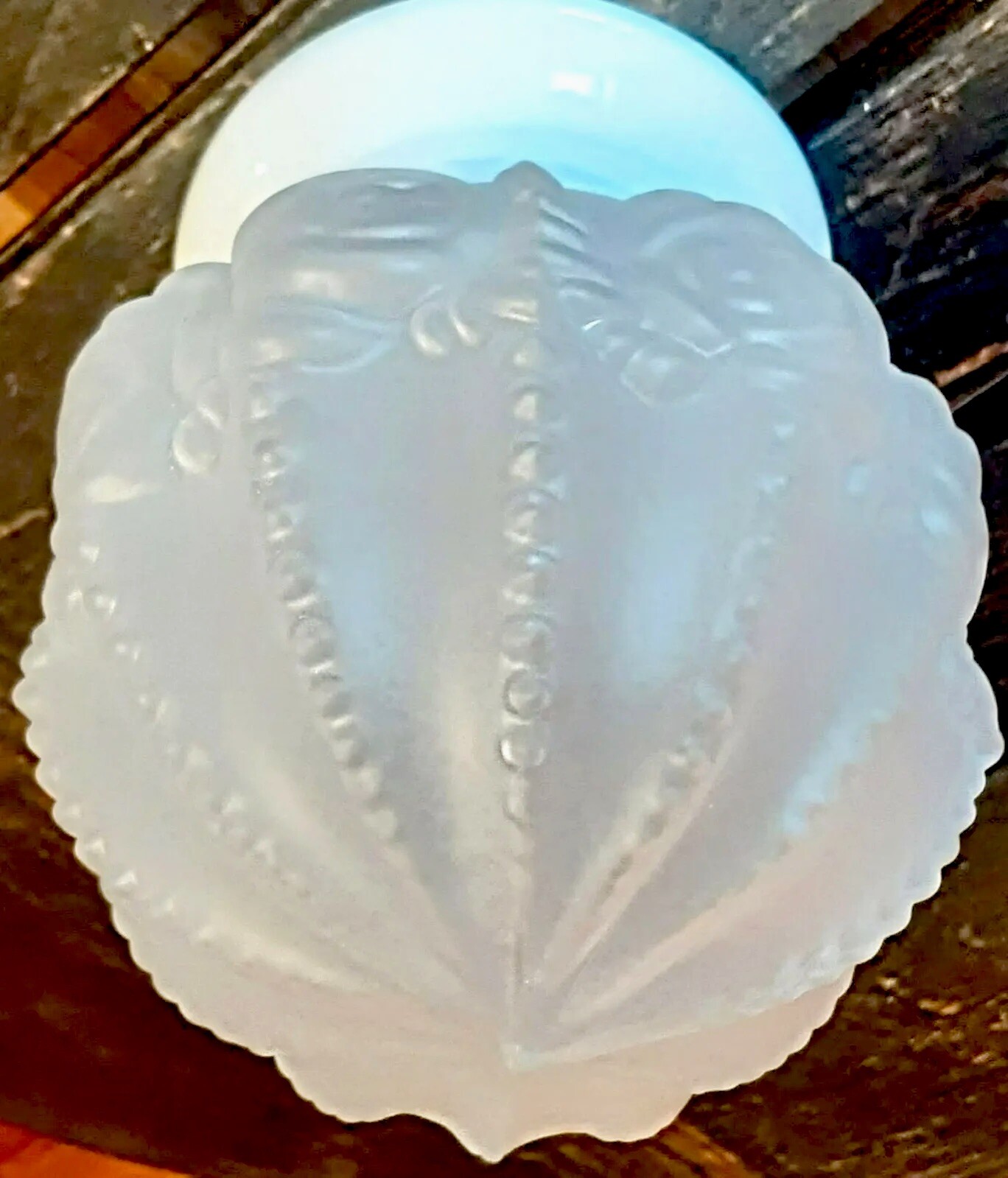 Picture 7 of 22