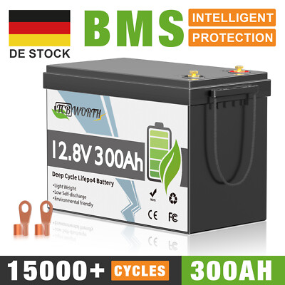12V 300Ah Lithium Batterie LiFePO4 15000+ Zyklen 200A BMS Akku Solaranlage Boot