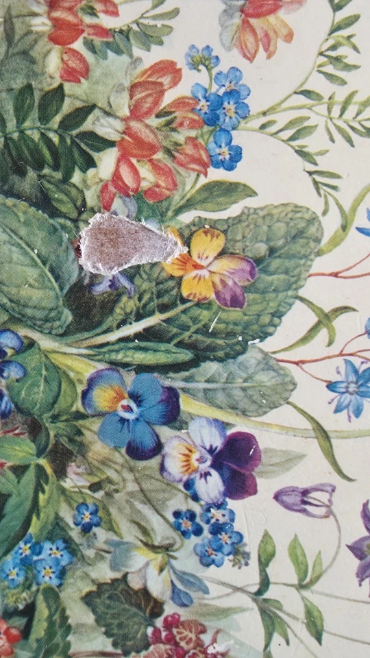 Pimpernel Vintage Placemats Set of 6 Meadow Flowers Pattern - Image 3 of 4