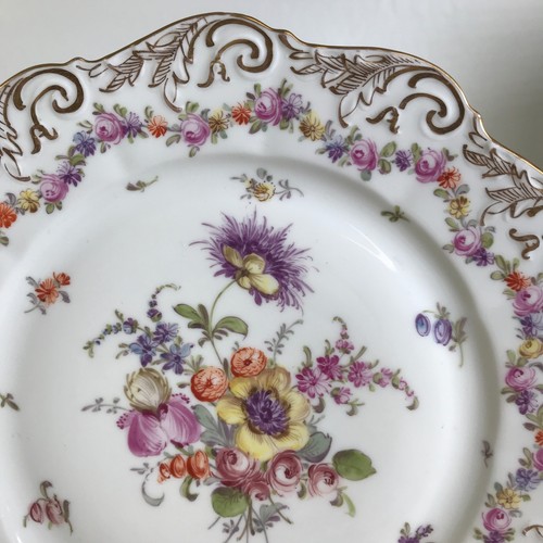 Pair of Antique Hand Painted Dresden Botanical Plates - Picture 9 of 11