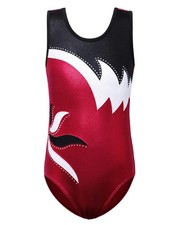 Girls Gymnastics Leotard Shiny Embroidery Dance Kid Children Athletic Activewear