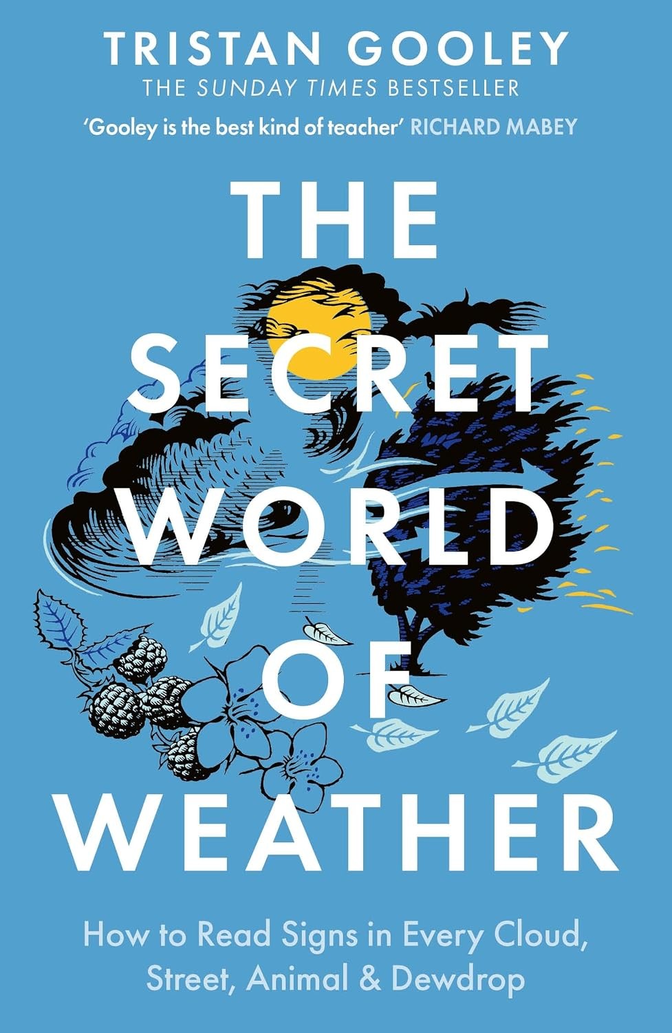 The Secret World of Weather: How to Read Signs in Every By Tristan Goole PB NEW - Image 14