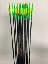 Victory VAP V1 450 Spine 26 Inch (16 Arrows) Target Points