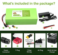48V 10Ah Motorcycle Battery with 20A BMS, for 100W-1000W Outdoor Projects