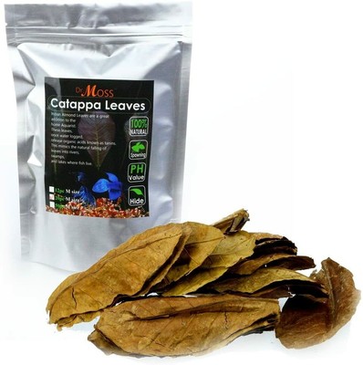 Aquarium Catappa Leaves 4''~6'' 50pcs - Indian Almond Leaves For Betta Fish Shrimp