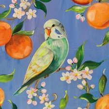 ppd 20 Servietten Perruche et Oranges 33 x 33...