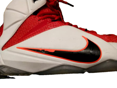 Nike LeBron 12 Heart Of A Lion 2014 Men display picture 1