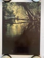 Summer Vintage Poster Original Pro Arts Tree Leaves Lake Water Park Seasons