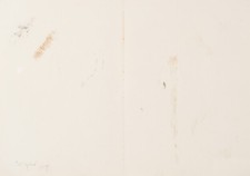 Tony Cragg, tecnica mista