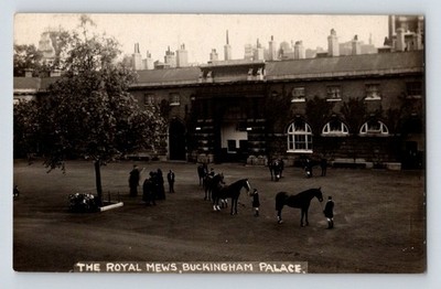 Royalty: Pferde. Frau Albert Besen. Inspektion Royal Mews, Buckingham Palace.