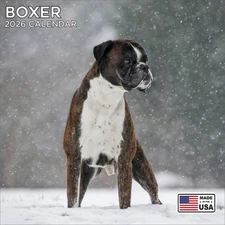 Boxer Calendar 2026 - Dog Breed Wall Calendar - Made in the USA!