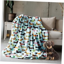 Dachshund Blanket, Dachshund Queen-80x60In Popular/Teens/Adults B-dachshund