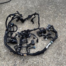 2019 Kawasaki Z1000R Wiring Loom - 26031-2338