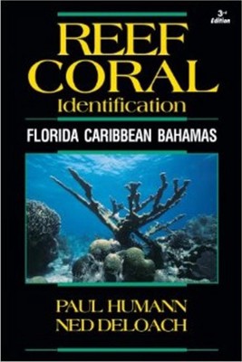Identifizierung von Riffkorallen: Florida Karibik Bahamas von Paul Humann (Englisch) Pa