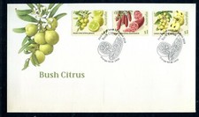 2019 Bush Citrus (P&S Stamps) FDC  - Orange NSW 2800 PMK