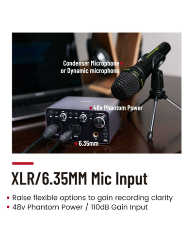 Simplefly SF2401 Digital Dual-Channel 24bit/192kHz AD/DA Converter w/ USB-C - Picture 6 of 10