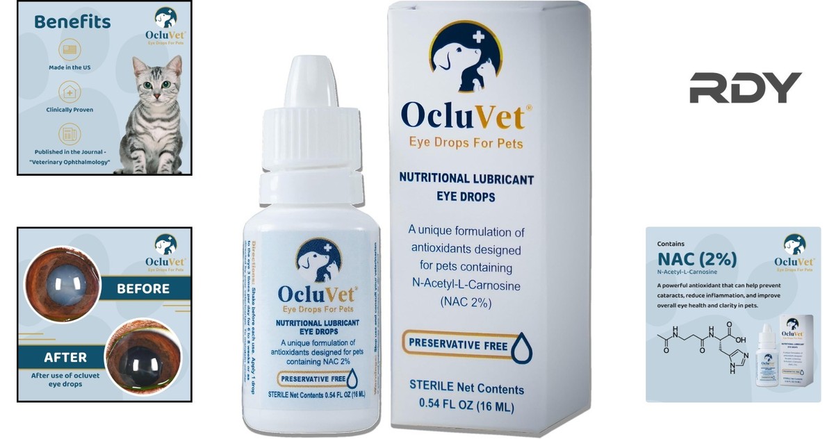 acetyl l carnitine eye drops Natural 2% N-Acetyl-L-Carnosine Eye Drops for Dogs with Cataracts