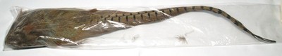Ring-Necked Pheasant   Tail #3175-0013 XL 18-21'' Long #487
