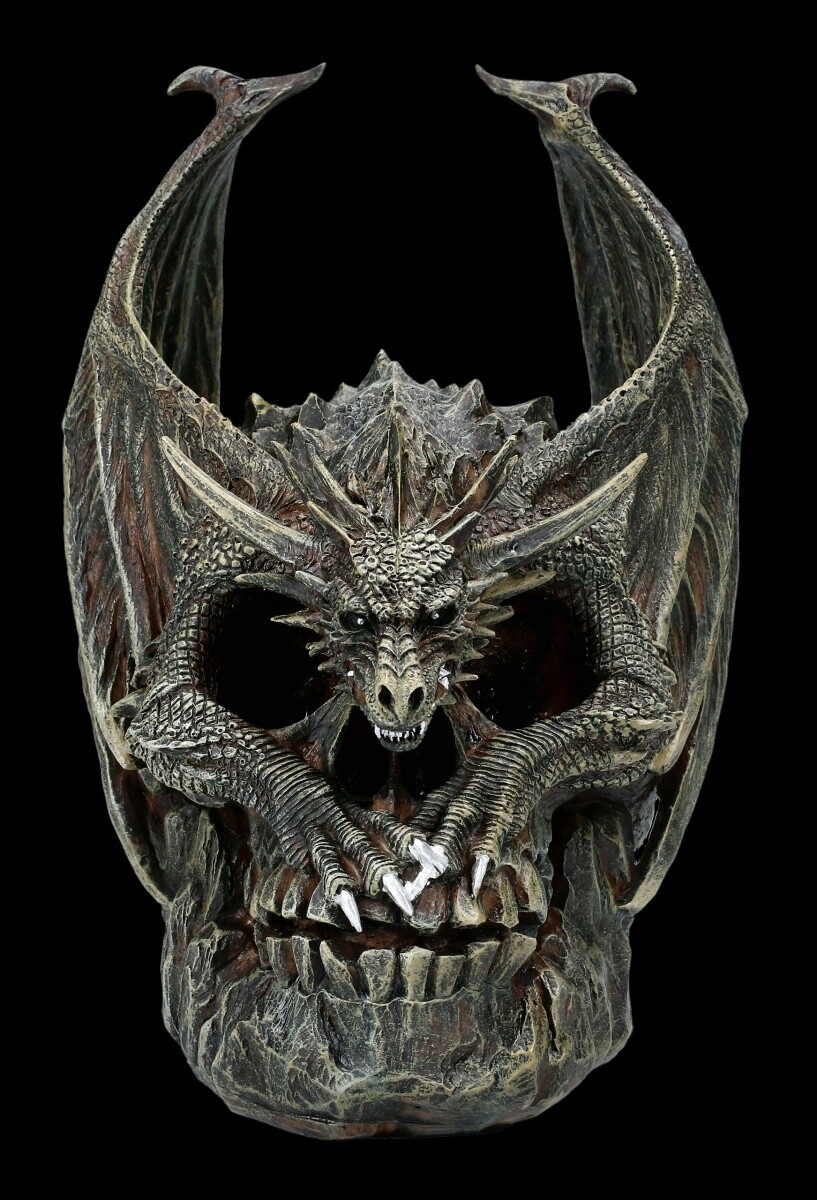 Dragon on Skull - Draco Skull | Gothic Skull Dragon