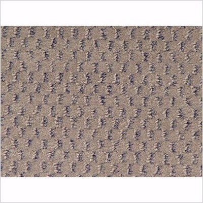Lund Boat Carpet Flooring 6 X 10 Ft Blue Beige W Rubber Backing