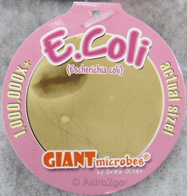 GIANT MICROBES-E COLI KEY CHAIN-Stuffed Plush Escherichia Food