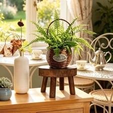 Wooden Stand Indoor/Outdoor Flower Pot Base Stool Succulent Tray Display Shelf