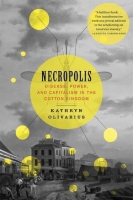 Necropolis by Kathryn Olivarius (Paperback Book)