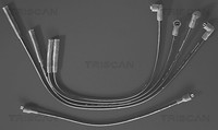 ZüNdleitungssatz Triscan 8860 7219 FüR Ford Lada Orion Fiesta Escort Silikone 2