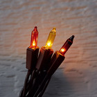 50 Ct. Orange Multi Color Light Strand Brown Cord ~ Home Decor
