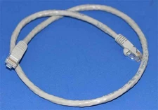 2FT CAT6 RJ45 Network Cable