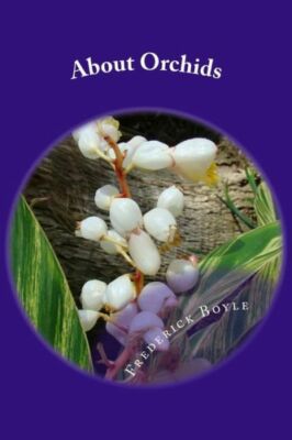 About Orchids: A Chat