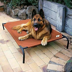 coolaroo dog bed extra large