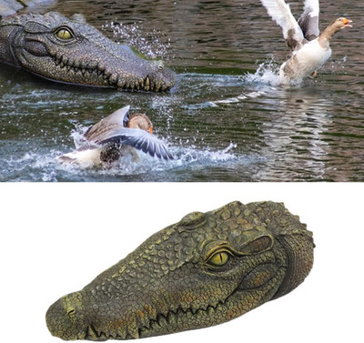 Floating Alligator Head, Pool Accessories,13.8 Inches Float Alligator Decoy for