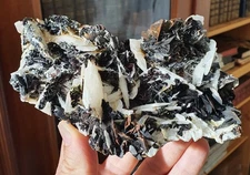 Barite on siderite, Gard (30), France. Old collection