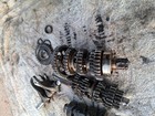 Bild 6 von 10