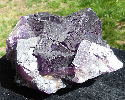 LARGE PURPLE Cabinet Specimen FLUORITE from Mexico  (3.54 LBS.)