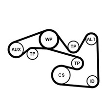 CONTINENTAL CTAM Keilrippenriemensatz 6PK1600K1 für VW GOLF PLUS 5 5M1 521 1T3 4
