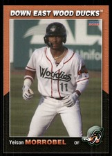 2023 Choice Down East Wood Ducks YEISON MORROBEL RC RANGERS DOMINICAN REPUBLIC