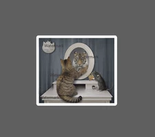 Cat Mirror Sticker Tiger Wild Waterproof