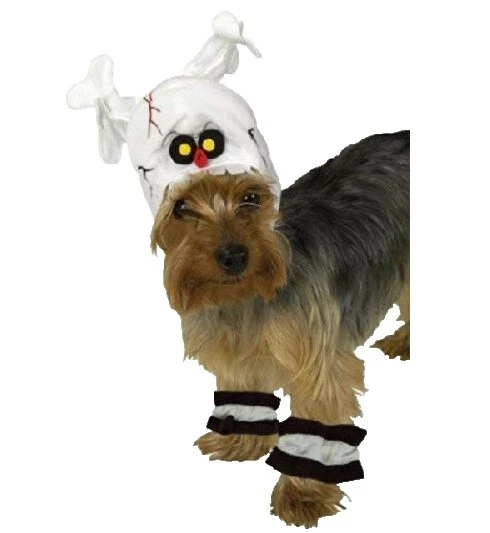 Disfraces de esqueleto Perro Polar