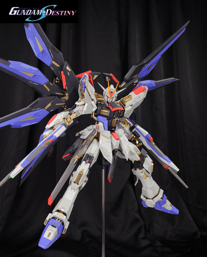 for PG 1/60 ZGMF-X20A STRIKE FREEDOM UC Recast DREAM CAST DC