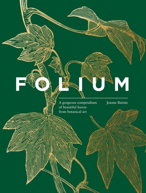 Folium: A gorgeous compendium of beautiful leaves from botanical art - Image 3