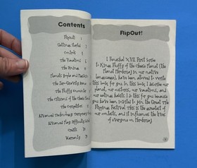 FLIP OUT!   -- ATARI Jaguar Instruction Manual Booklet Only, NO GAME