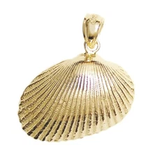 New 14k Yellow Gold Seashell Pendant